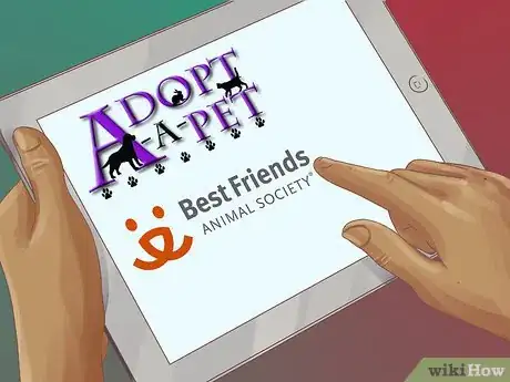 Image titled Adopt a Terrier Step 2