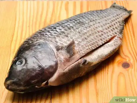 Image titled Make Fish Stock Step 1