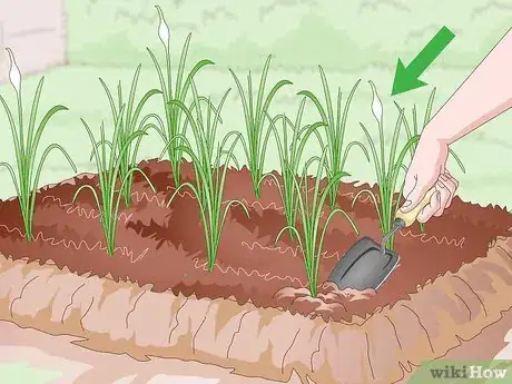 Image titled Prepare Your Garden for the Fall Step 10