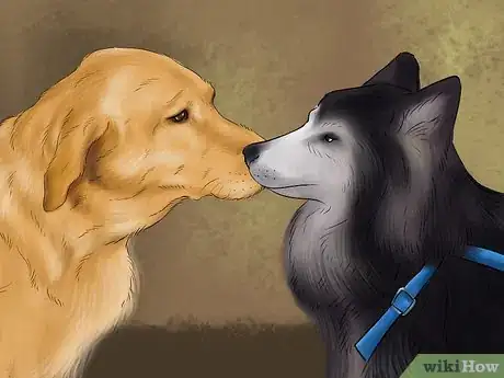 Image titled Keep an Older Dog Mentally Active Step 5