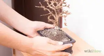 Read a Feng Shui Bagua Map