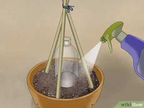 Image titled Grow Cucumbers in Pots Step 13