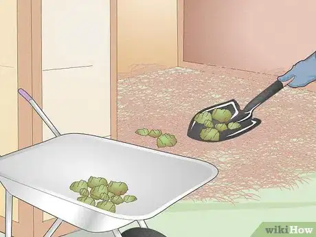 Image titled Look After a Horse Step 7