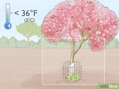 Image titled Cover Plants in the Winter Step 13