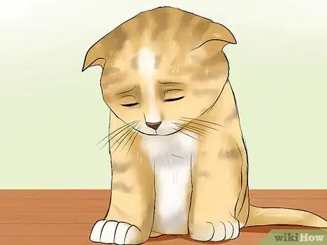 Image titled Detect Kitten URI or Pneumonia Step 4