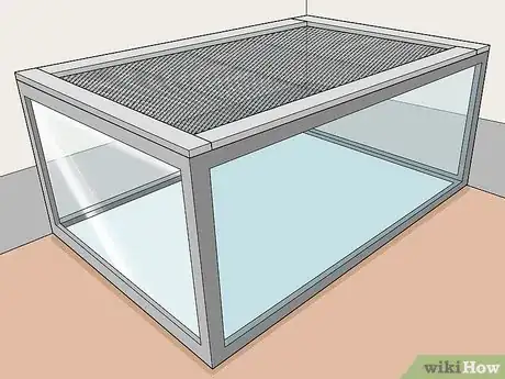 Image titled Keep Pet Mice Safe from Other Pets Step 1