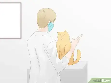 Image titled Handle a Stray Cat Step 36