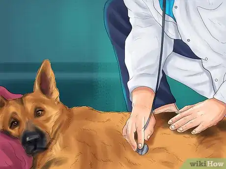 Image titled Decide Whether to Get a German Shepherd Step 5
