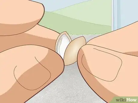 Image titled Dry Malt Step 7