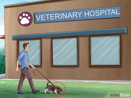 Image titled Keep Your Dog and Other Dogs Safe at the Vet Step 12