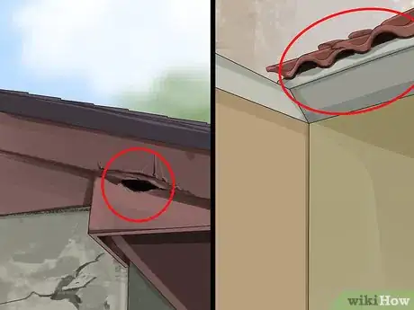 Image titled Catch Roof Rats Step 1