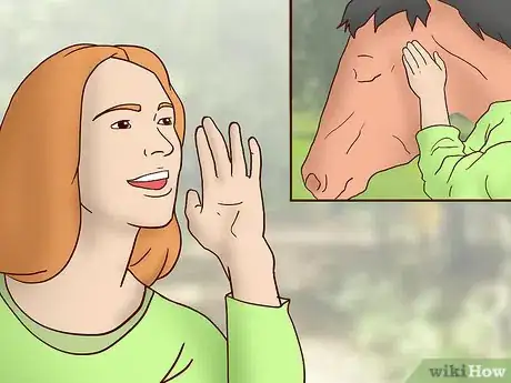 Image titled Teach a Horse to Come when Called Step 8