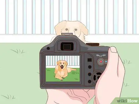 Image titled Start a Pet Photography Business Step 9