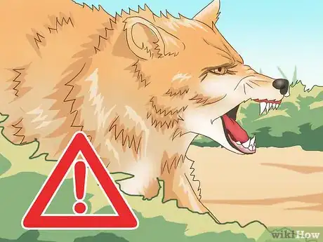 Image titled Make a Coyote Trap Step 17