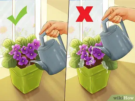 Image titled Select Blooming Houseplants Step 1