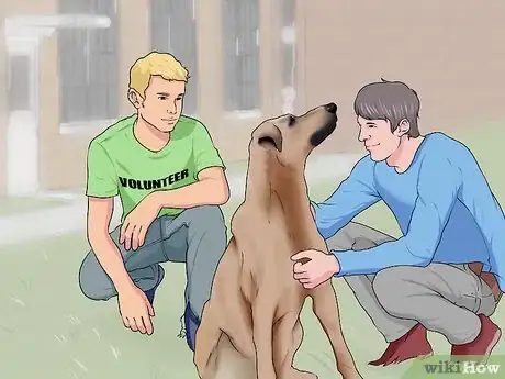 Image titled Adopt a Dog from a Humane Society or Animal Shelter Step 7