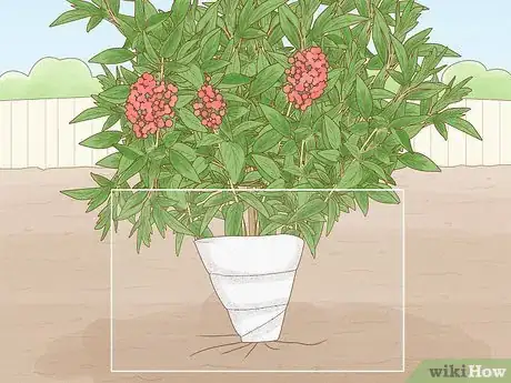 Image titled Cover Plants in the Winter Step 12