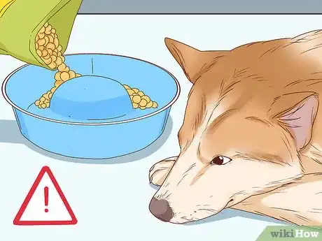 Image titled Tell if a Dog Is Pregnant Step 17