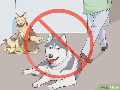 Image titled Live with a Dog with a High Prey Drive Step 9