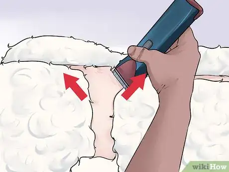 Image titled Do a Banded Dutch on a Poodle Step 8