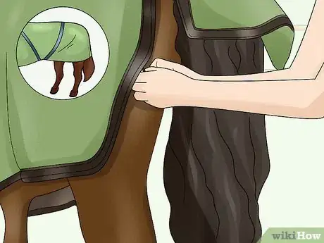 Image titled Take off a Horse Blanket Step 11