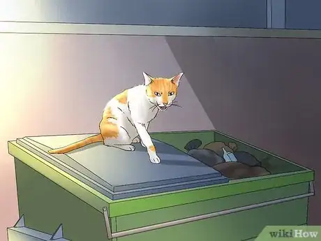 Image titled Identify and Help Feral and Stray Cats Step 5