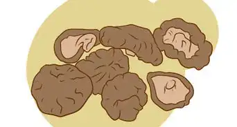 Grow Edible Mushrooms