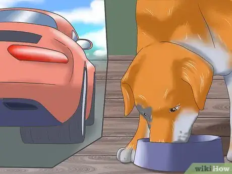 Image titled Deal with Severe Motion Sickness in Dogs Step 9