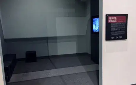 Image titled Collateral Damages NYSM