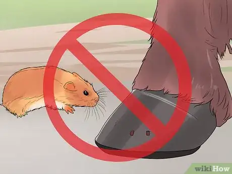 Image titled Stop a Horse Rearing Step 3