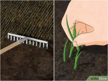 Image titled Reduce Your Carbon Footprint in the Garden Step 10