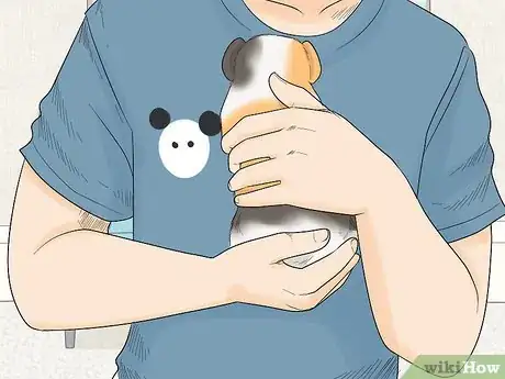 Image titled Avoid Scaring Your Guinea Pig Step 13