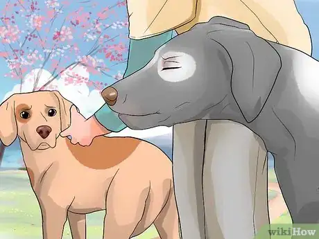 Image titled Prevent Dog Flu Step 2