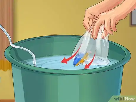 Image titled Start a Saltwater Aquarium Step 31