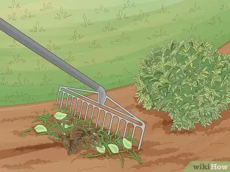 Image titled Maintain a Garden Step 15