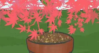 Mulch Leaves with a Lawn Mower