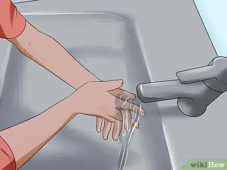 Image titled Diagnose Tapeworms in Cats Step 12