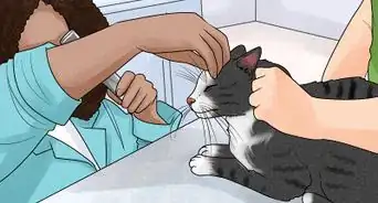 Protect Pets from Secondhand Smoke