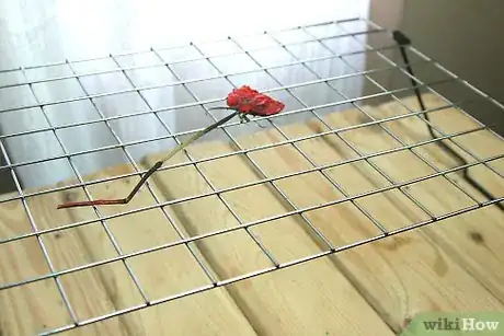 Image titled Dye Dried Roses Step 6