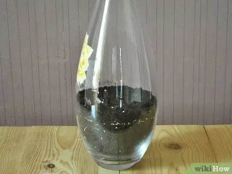 Image titled Make a Mini Biodome Step 4