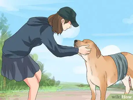 Image titled Treat Gastric Torsion and Bloat in Labrador Retrievers Step 4