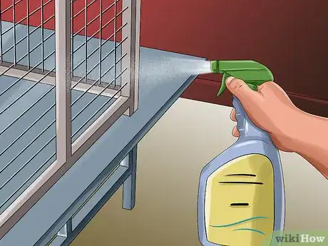 Image titled Treat Bumblefoot in Cockatoos Step 13