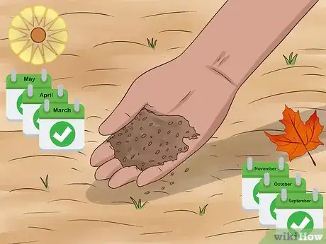 Image titled Plant Wildflowers Step 12