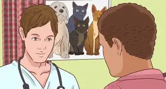 Prevent Jealousy in Current Pets when Getting a New Dog