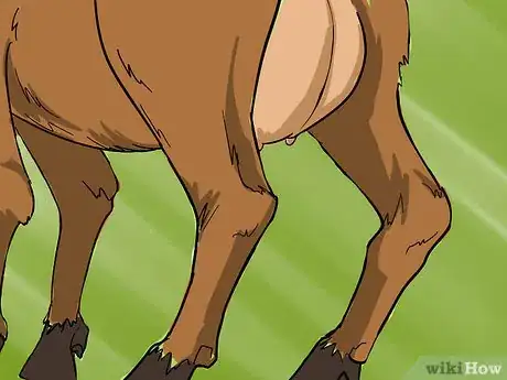 Image titled Harvest Cashmere Step 3