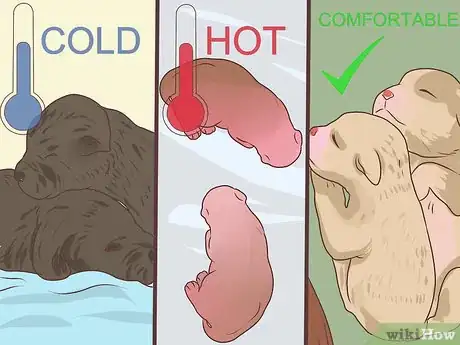 Image titled Prevent Disease in Orphaned Newborn Puppies Step 12