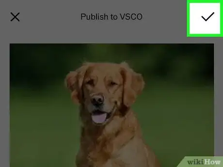 Image titled Publish on VSCO on iPhone or iPad Step 6