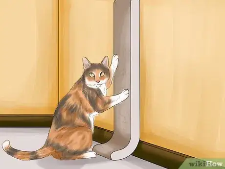 Image titled Choose a Scratching Post or Pad for Your Cat Step 13