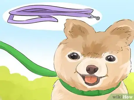 Image titled Help Your Dog Live Longer Step 10
