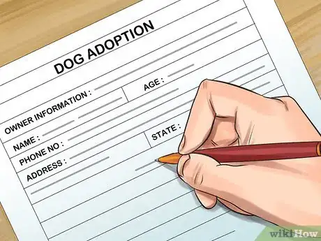 Image titled Adopt a Pitbull Step 9